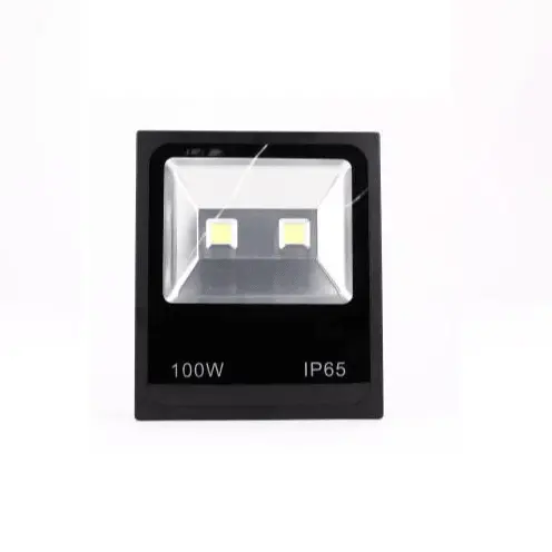 100W Led Cob Floodlight – 6000K Bright White, High-Output (Dr. Light) 1