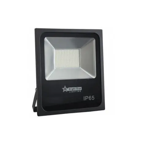 50W Driverless High-Lumen Floodlight – Bright Star Fl073 1