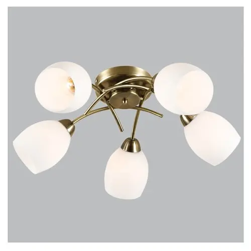 Antique-Style 5-Arm Metal Chandelier – 40W Per Arm, White Glass (Ch489/5) 1