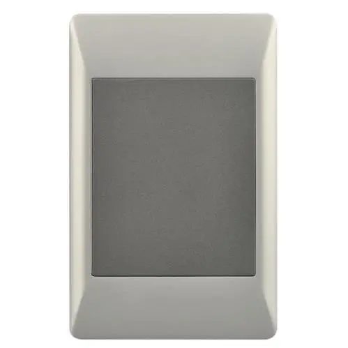 Champagne & Charcoal 4X2 Switch Blank Cover – Duo Bright Star Esw080 1