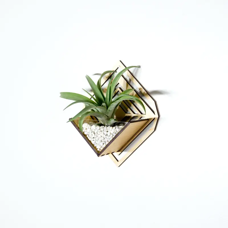 Compact Wall-Mounted Sconce Planter For Air Plants – Small Handmade Wood Display 1