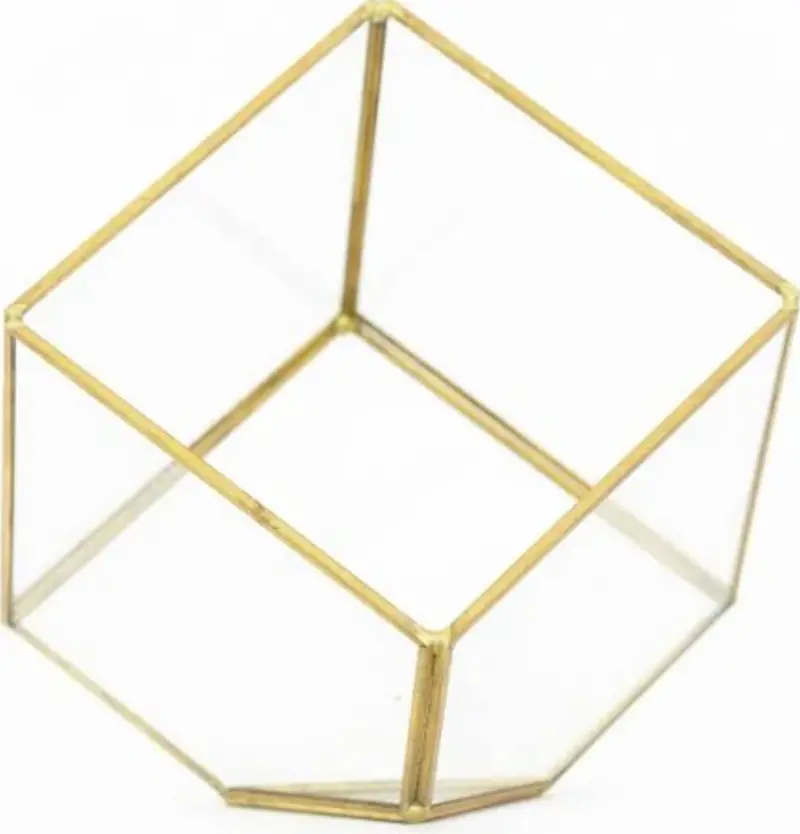 Gold-Plated Heptahedron Glass Terrarium Display 1