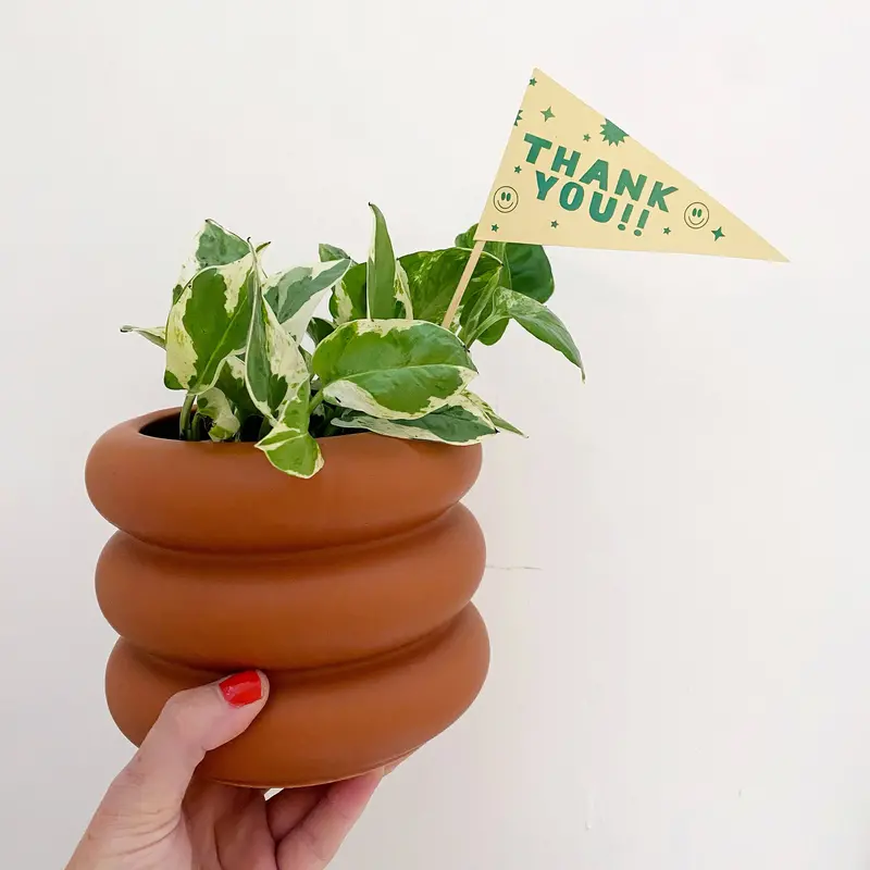 Gratitude Pennant Flag – 'Thank You' Decorative Banner 1