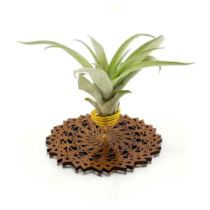 Wire Air Plant Holder No. 7 – Angular Metal Stand Paired With Reclaimed Wood 1